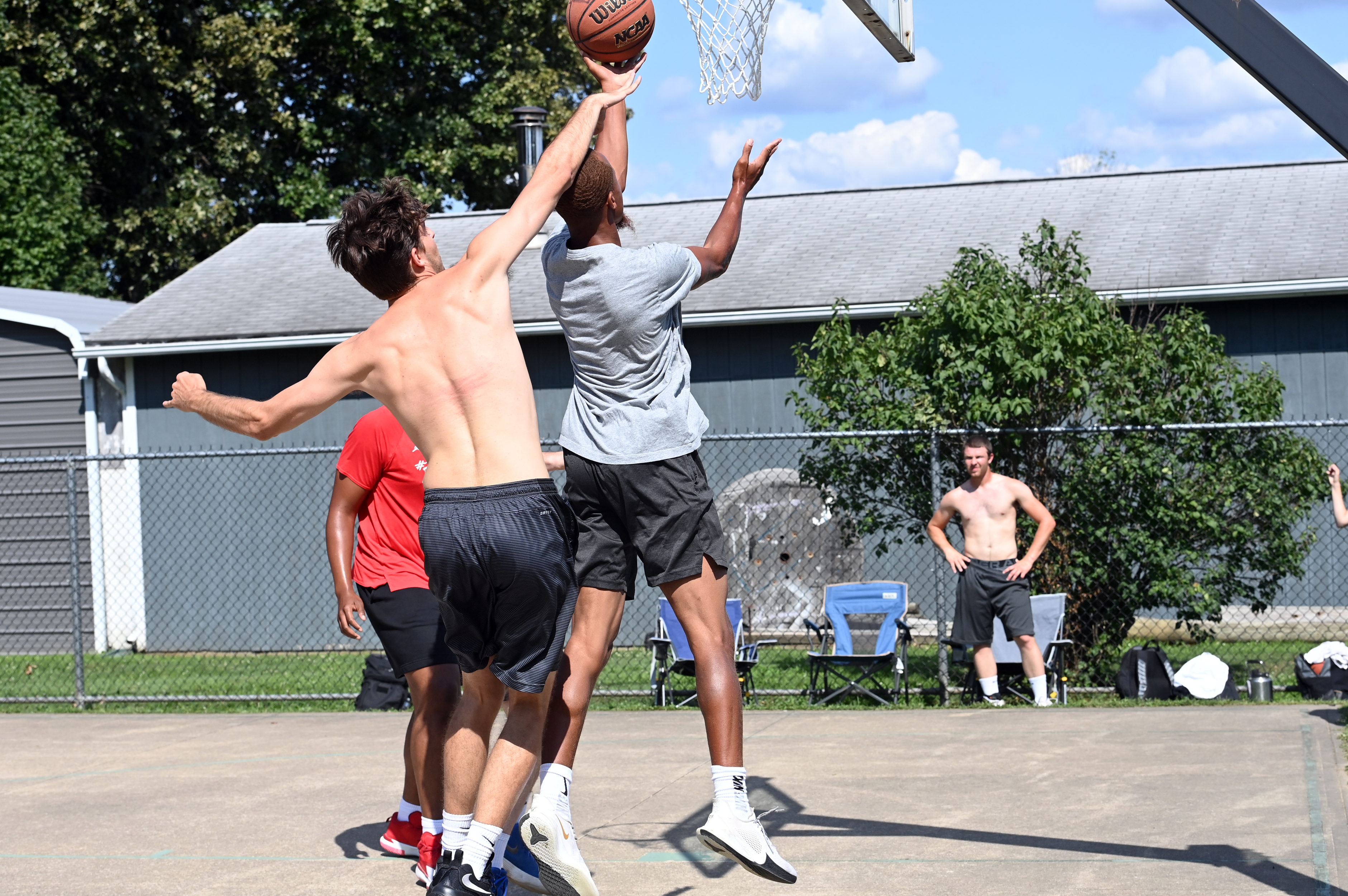 %_tempFileNamedog-days-basketball-2022_0377%