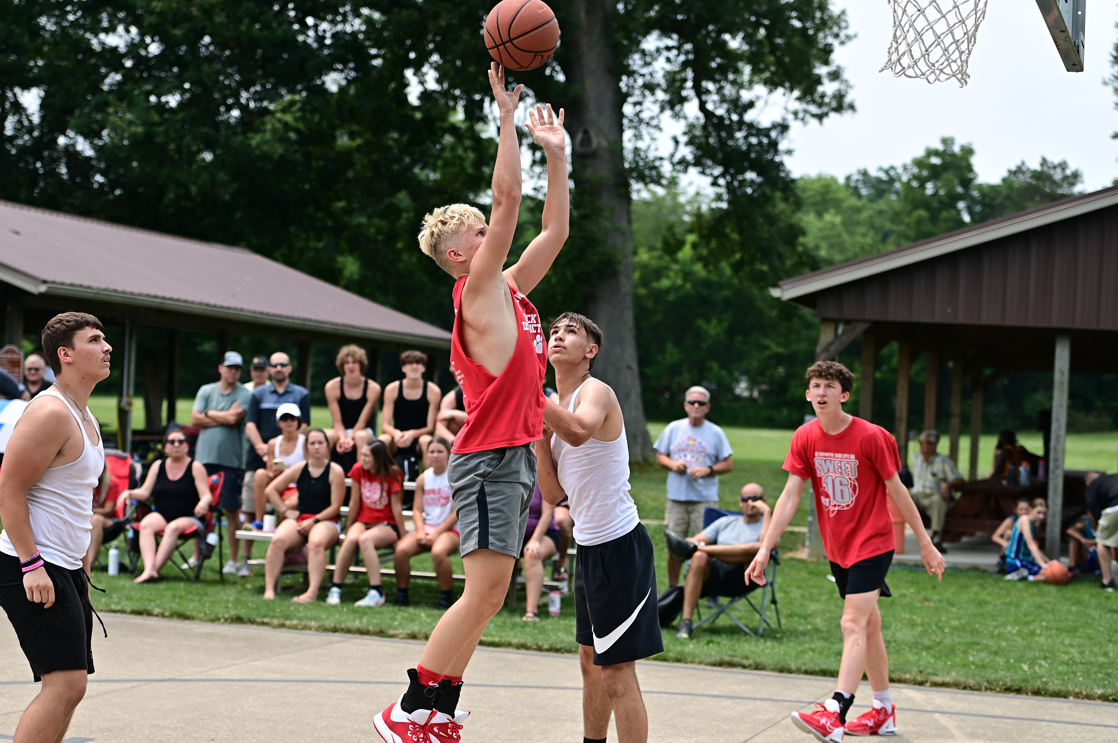 %_tempFileNamedog_days_basketball_5483%